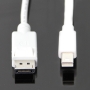 Mini_DisplayPort_51efdf9ec0816.jpg